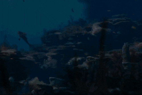 a mermaid is swimming in the ocean surrounded by corals