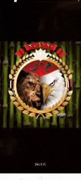 a picture of a lion and an eagle in a circle