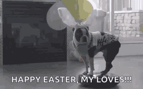 a dog wearing bunny ears is standing on a robot .