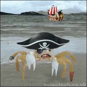Pirate Crab Talk Like A Pirate Day GIF - Pirate Crab Talk Like A Pirate Day Ar GIFs
