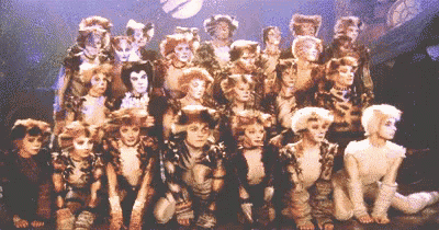 a group of people dressed as cats are posing for a photo