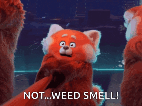 a red panda says not weed smell in a cartoon