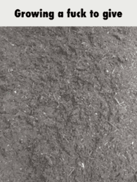 a black and white photo of a middle finger with the words growing a fuck to give below it