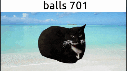 a black cat is laying on a beach with the words balls701 above it