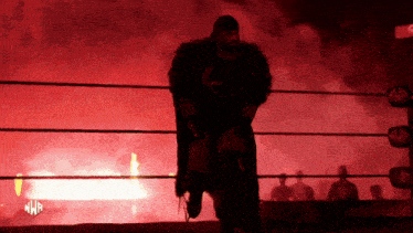a wrestler in a ring with the letters nwb on the bottom right