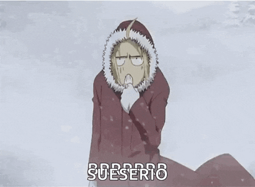 a person wearing a coat with a hood and the word sueserio on the bottom