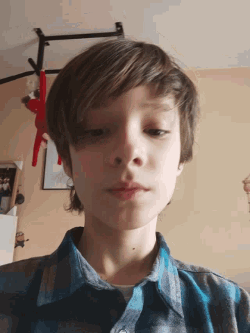 a young boy in a blue and grey plaid shirt is looking at the camera