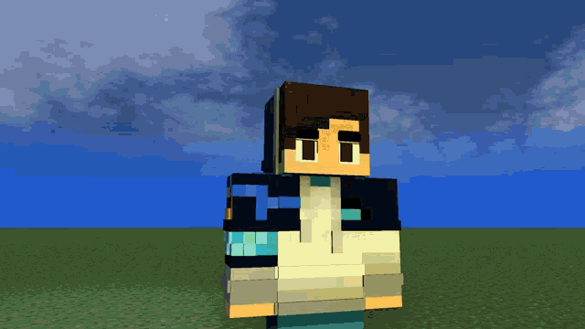 a minecraft character is standing in a field