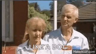 a man and a woman are standing next to each other in front of a screen that says `` like a dog `` .