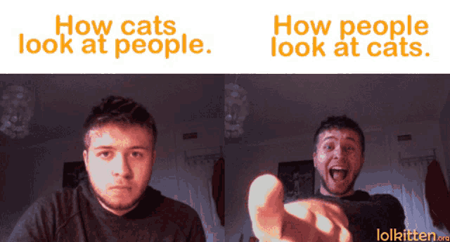 a picture of a man with the words how cats look at people above him