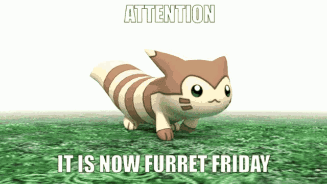a picture of a furret with the words attention it is now furret friday below it