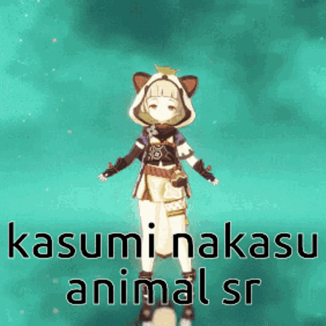 a screenshot of a video game character with the name kasumi nakasu animal sr
