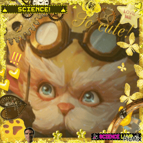 a picture of a cat wearing goggles is surrounded by hearts and flowers