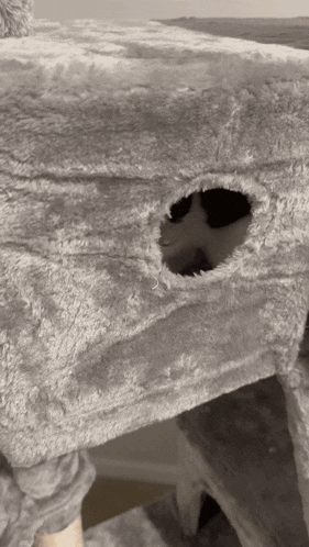 a close up of a cat tree with a hole in the middle
