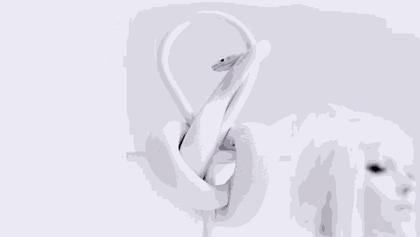 a white snake is wrapped around a woman 's head