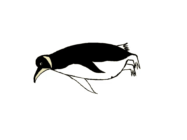 a black and white penguin with a yellow beak