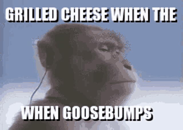 a monkey wearing headphones says grilled cheese when the goosebumps are coming