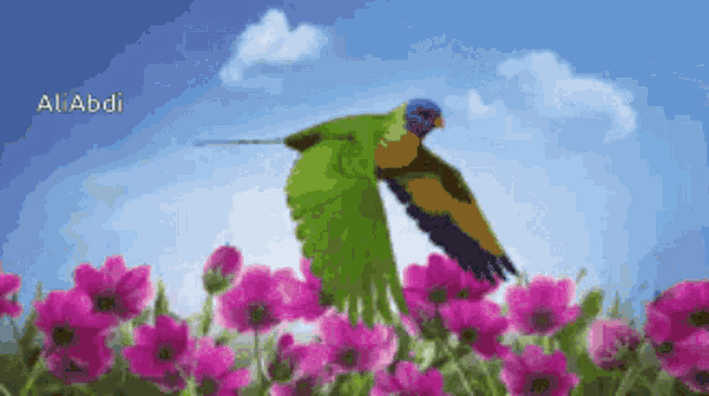 a green and yellow bird is flying over pink flowers