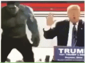 Hulk Trump GIF - Hulk Trump Smash GIFs