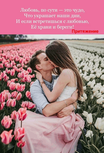 a man and a woman are kissing in a field of pink flowers