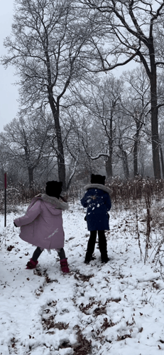 Snowball Fight Snowing GIF - Snowball Fight Snow Snowing GIFs
