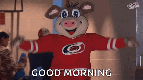 a mascot for the carolina hurricanes says good morning with his arms outstretched