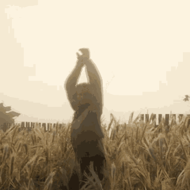 a person standing in a field with their arms up