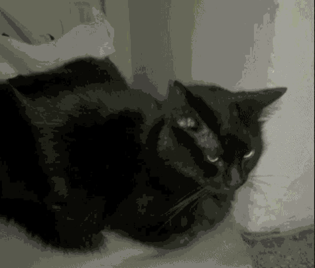 a black cat with yellow eyes is laying down on a bed