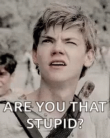 Newt Thomas Brodie Sangster GIF - Newt Thomas Brodie Sangster Are You That Stupid GIFs