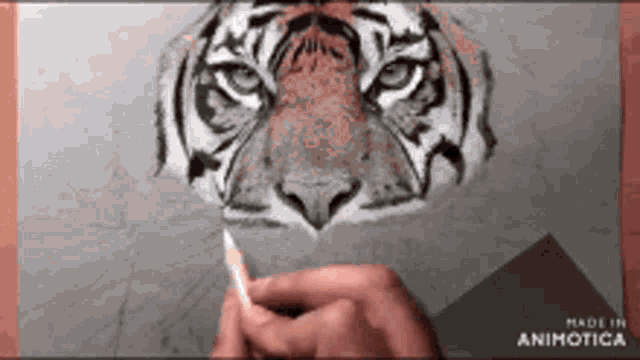 a person is drawing a tiger with a pencil on a piece of paper made in animatica