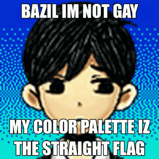 a picture of a boy with the words bazil im not gay my color palette iz the straight flag