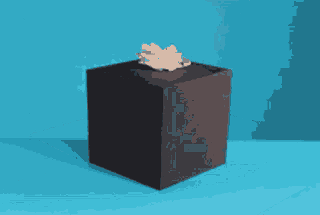 a black box with tissues in it is on a blue surface