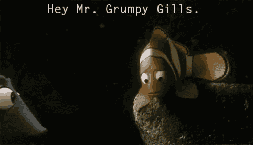 a picture of a clown fish with the words hey mr. grumpy gills below it