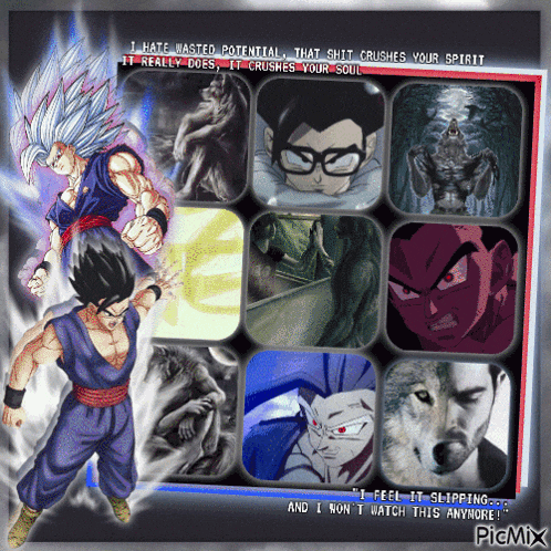 a picture of a dragon ball z character with a quote that says " i hate wasted potential "