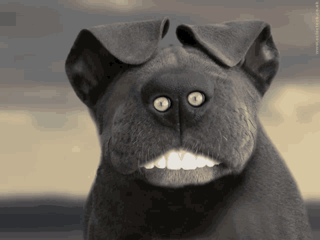 a close up of a dog 's face with green eyes and a smile on its face