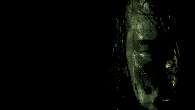 a close up of a person with long hair and a beard .
