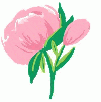 Pink Rose For You GIF - Pink Rose For You Flower GIFs
