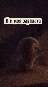 a picture of a penguin with the words " я и моя зарплата "