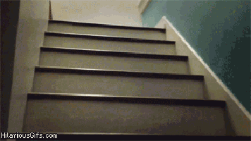 a picture of a set of stairs with hilariousgifs.com in the corner