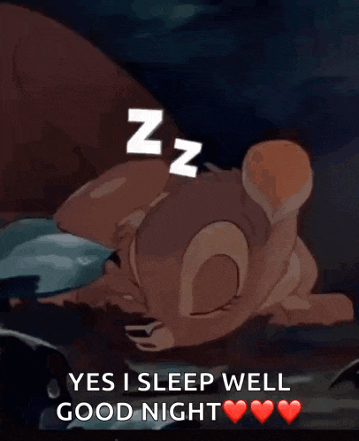 a cartoon of a squirrel sleeping with the words " yes i sleep well good night "