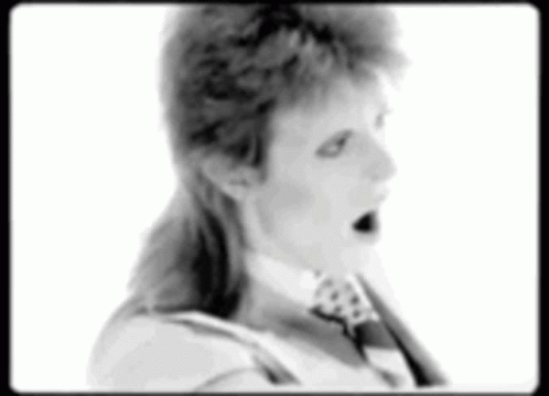 Bowie David GIF - Bowie David GIFs