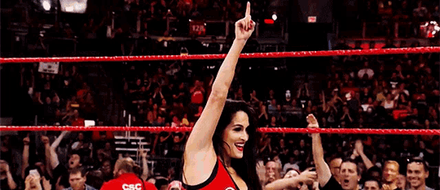 a woman in a red top is standing in a wrestling ring with a crowd behind her .