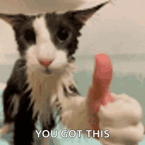 a black and white cat giving a thumbs up with the words " you got this " below it