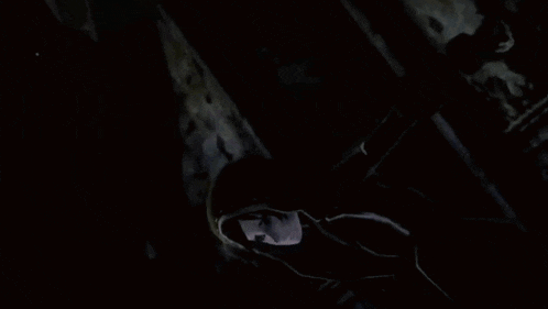 a close up of a video game character with a hood on their head .