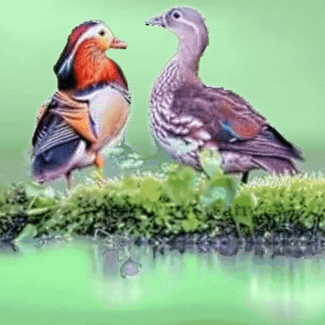two ducks are standing next to each other on a mossy branch with a green background