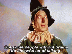 Wizard Of Oz Stupid GIF - Wizard Of Oz Stupid More Talk GIFs