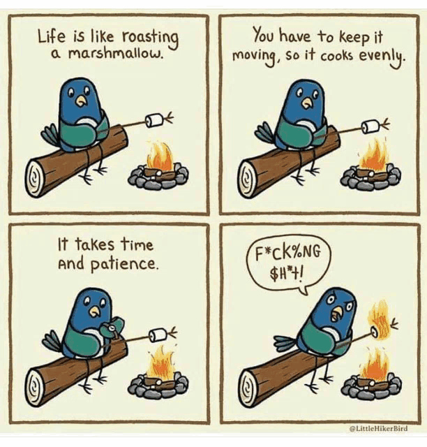 a cartoon shows a bird roasting a marshmallow over a fire