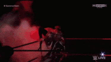 a crowd of people are watching a wrestling match in a ring .