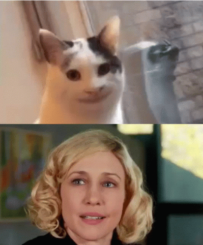 Norma Bates And Cat GIF - Norma Bates And Cat Norma Bates GIFs