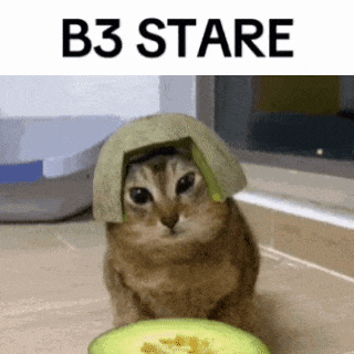 a cat wearing a melon hat is sitting next to an avocado .